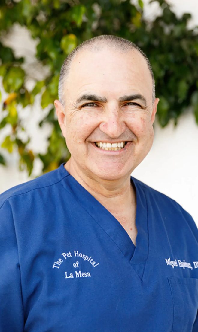 Smiling veterinarian in blue scrubs with The Pet Hospital of La Mesa logo