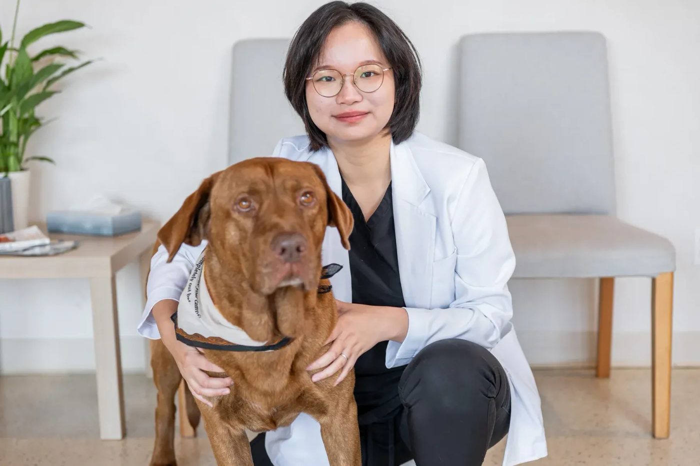 Veterinarian kneeling with brown dog in exam room at pet hospital