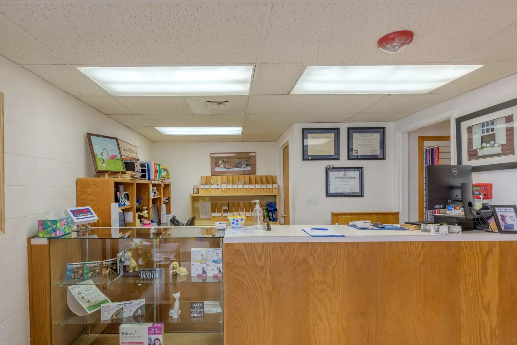 Veterinary clinic reception desk with wooden counter and glass display case